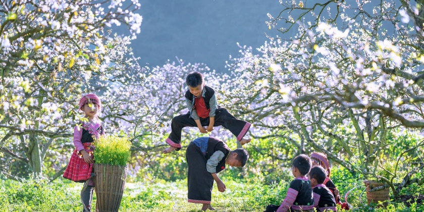 mocchau2-16368098134341180148497